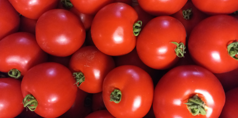 Promotion dernières tomates